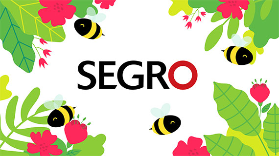 https://peppermint.peppermint-dev.pl/wp-content/uploads/2019/07/pszczoly_grafika3.jpg